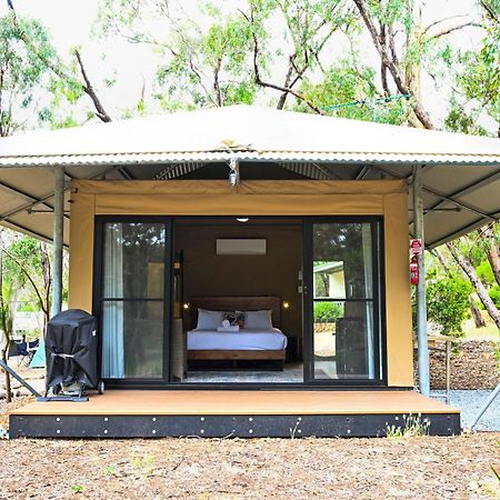 Belair National Park Holiday Park Ngoại thất bức ảnh