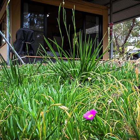 Belair National Park Holiday Park Ngoại thất bức ảnh