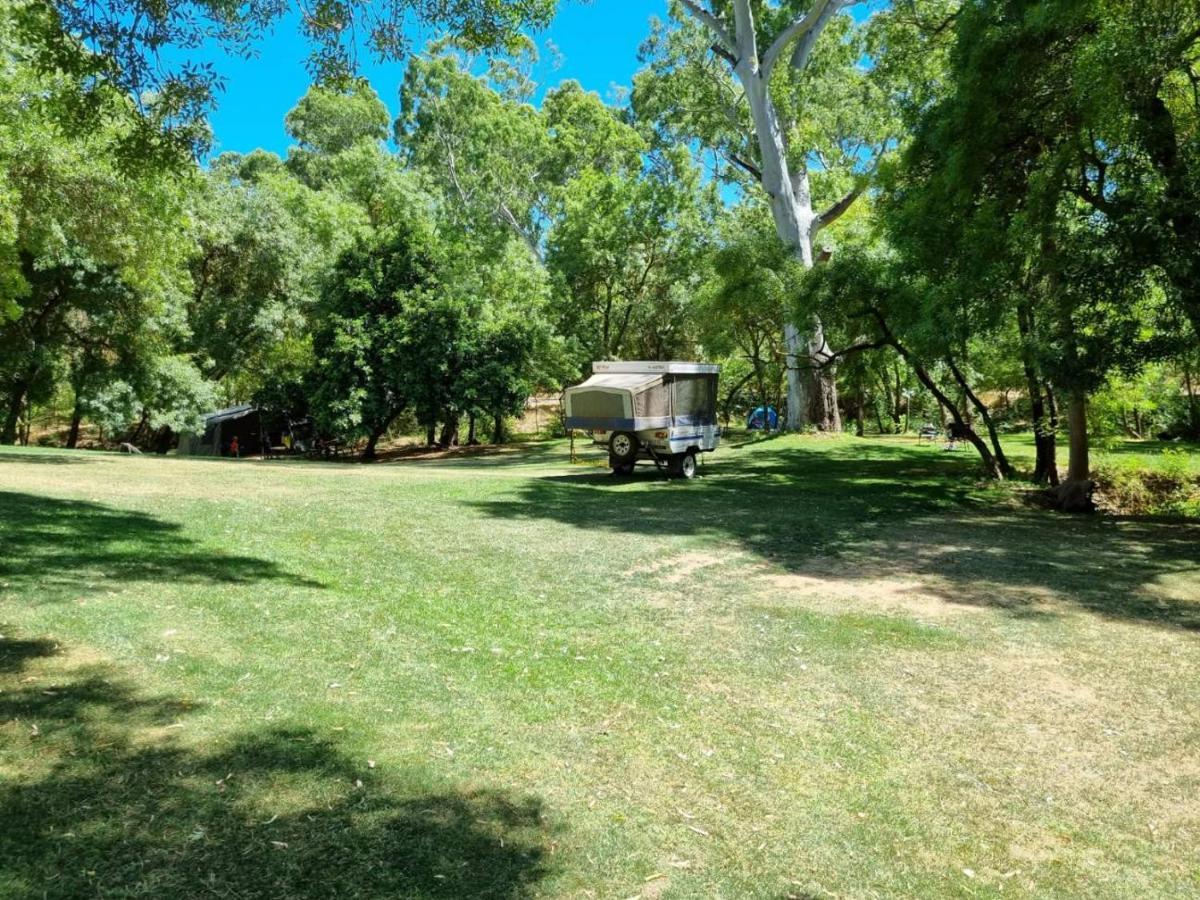 Belair National Park Holiday Park Ngoại thất bức ảnh
