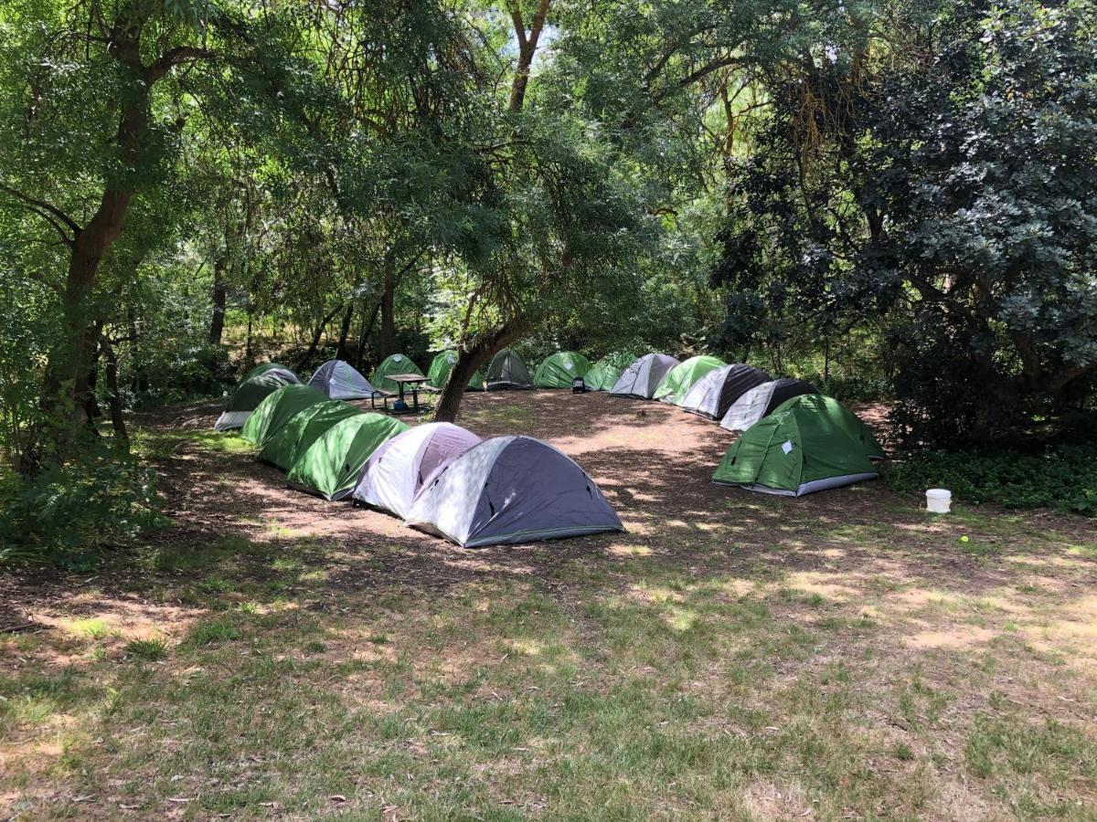 Belair National Park Holiday Park Ngoại thất bức ảnh