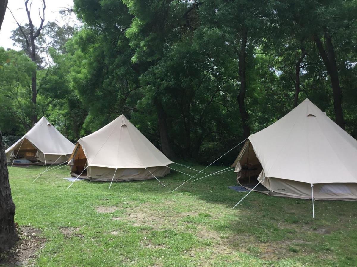 Belair National Park Holiday Park Ngoại thất bức ảnh