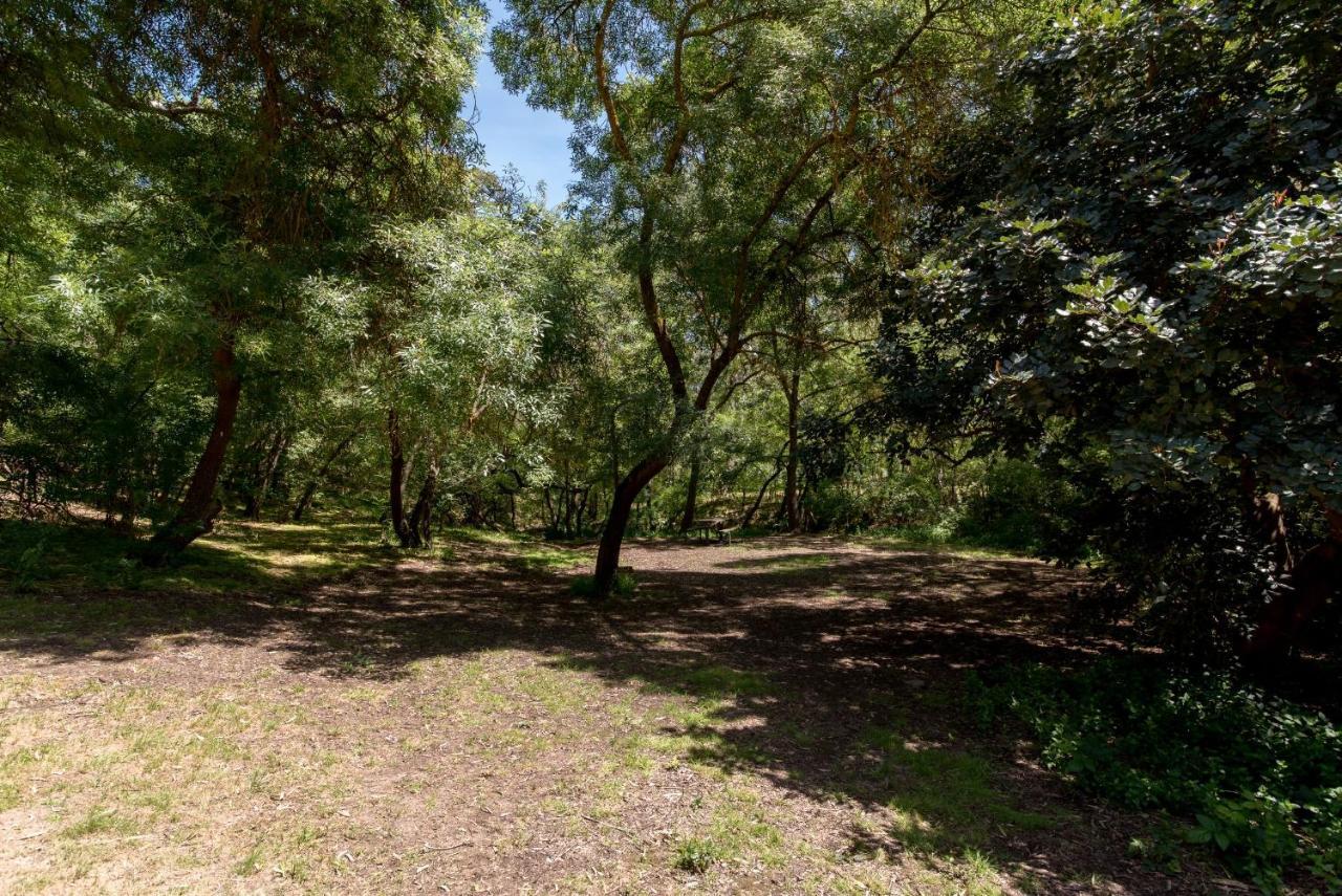 Belair National Park Holiday Park Ngoại thất bức ảnh